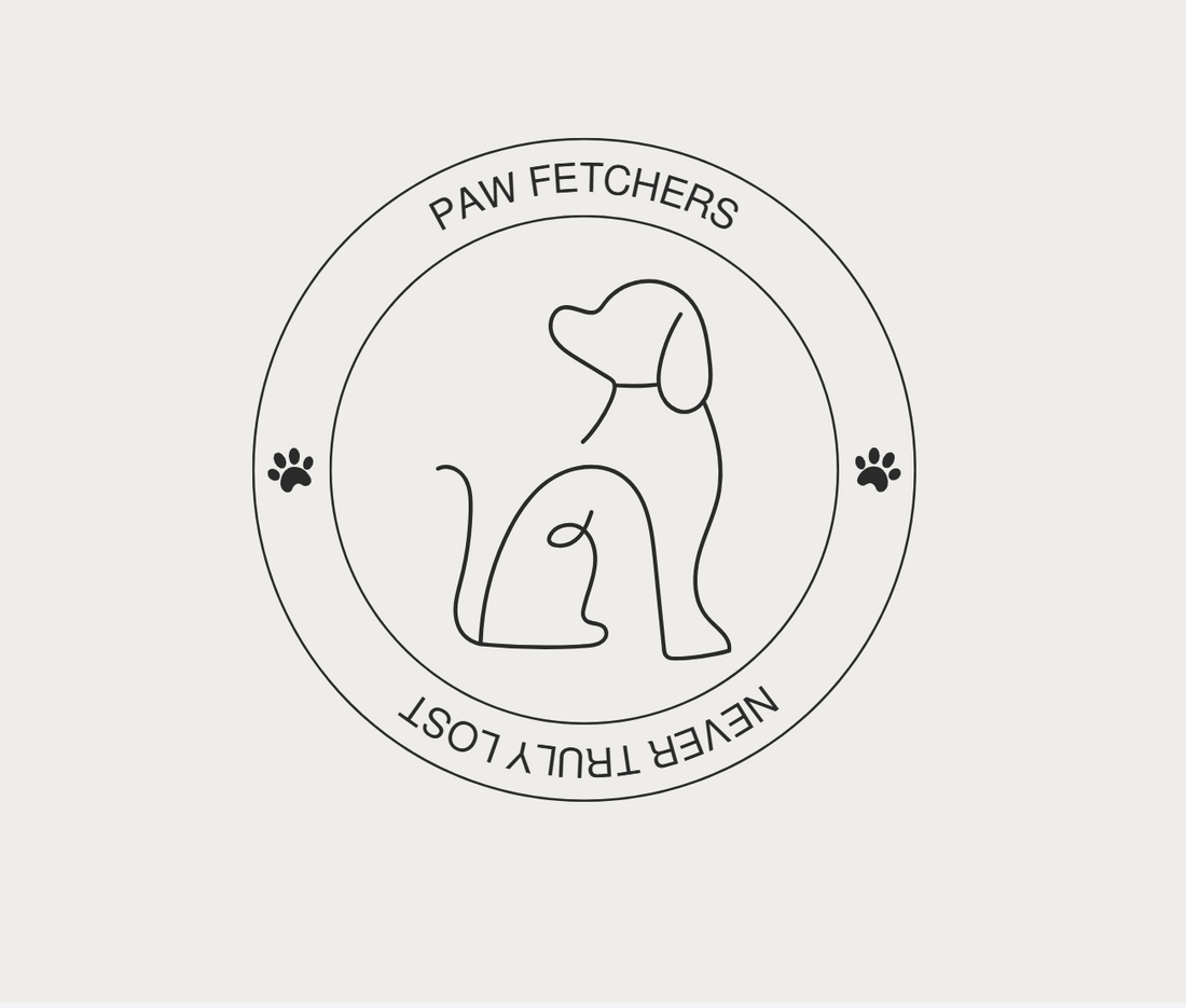How to Track Your Dog with AirTag: Complete Guide for Australian Pet Owners - FETCH