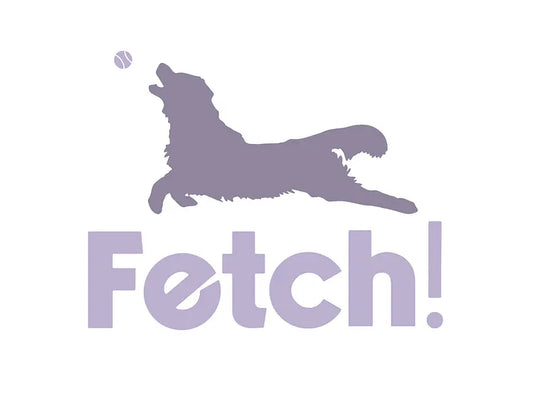 Why Fetch It - FETCH